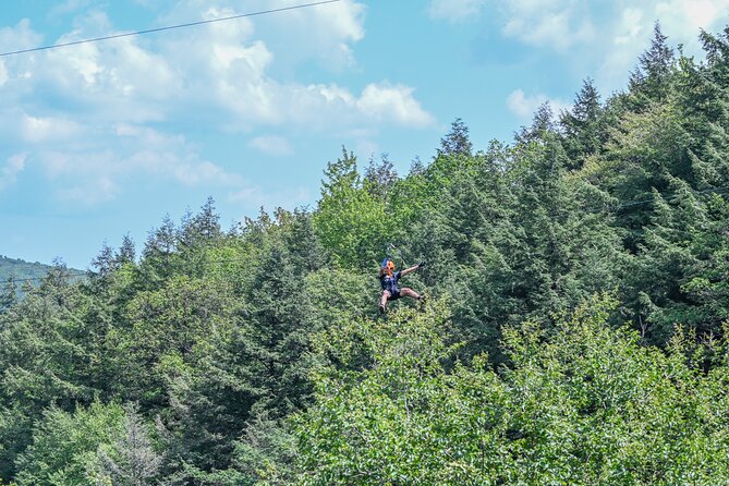 Bristol Mountain Zipline Canopy Activity Review - Good To Know