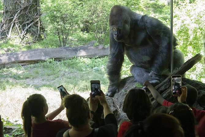 Bronx Zoo Admission Ticket - Good To Know
