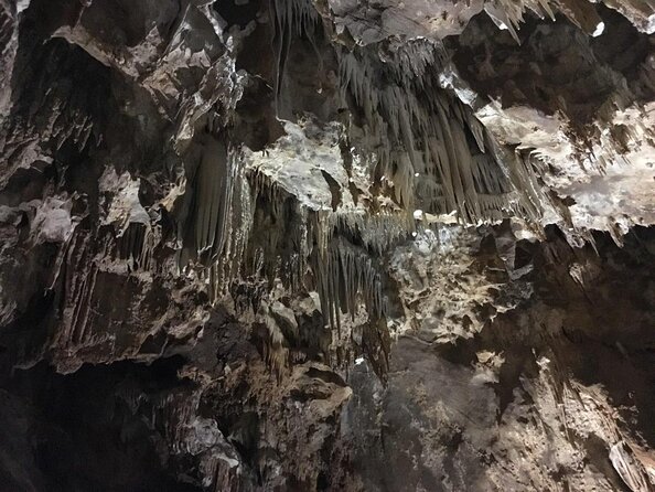 Cagliari Private Shore Excursion: The Beauty of Is Zuddas Caves Experience - Key Points