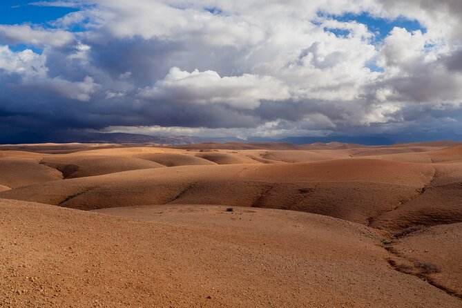 Camel Ride and Dinner in the Agafay Desert With Transportation - Key Points