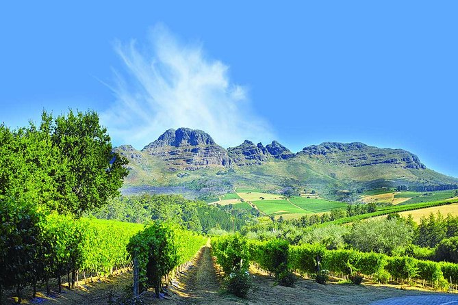 Cape Winelands Guided Day Tour From Cape Town - Key Points