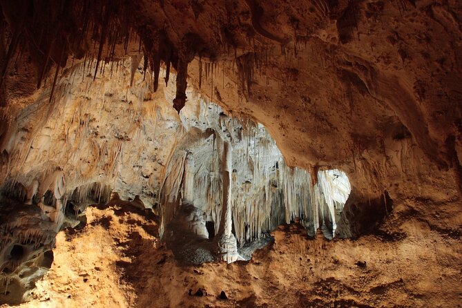 Carlsbad Caverns Self-Guided Walking Tour (Not a Ticket)
