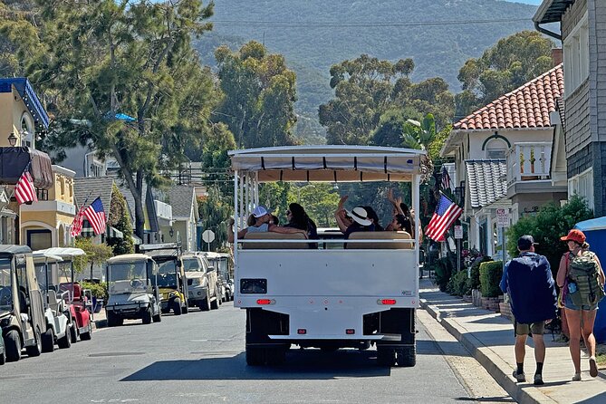 Catalina Island City and Scenic Mt Ada Tour Review - Tour Overview