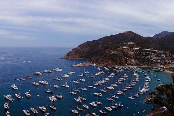 Catalina Island Ferry Review: Smooth Sailing Experience - Good To Know