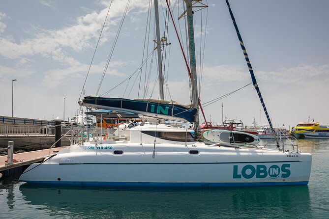 Catamaran Excursion Lobos in Morning Small Groups - Key Points