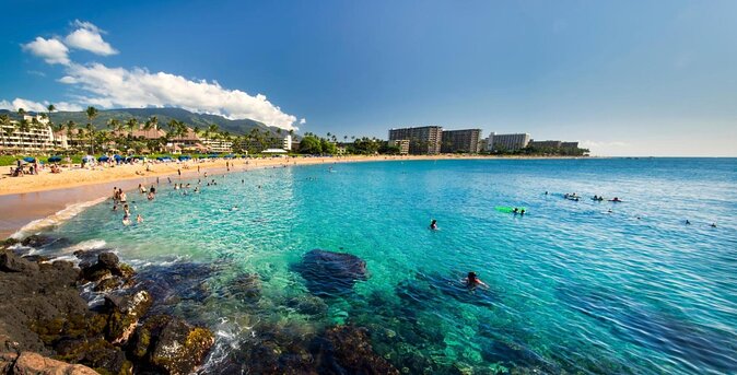 Certified Guided Shore Dive in Lahaina - Good To Know