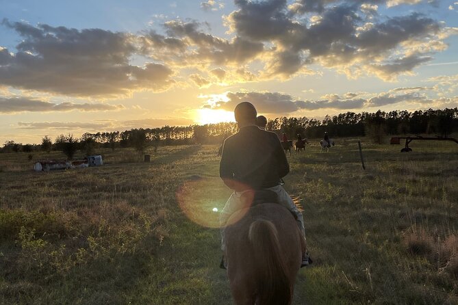 Champagne and Charcuterie Sunset Trail Ride Review - Good To Know