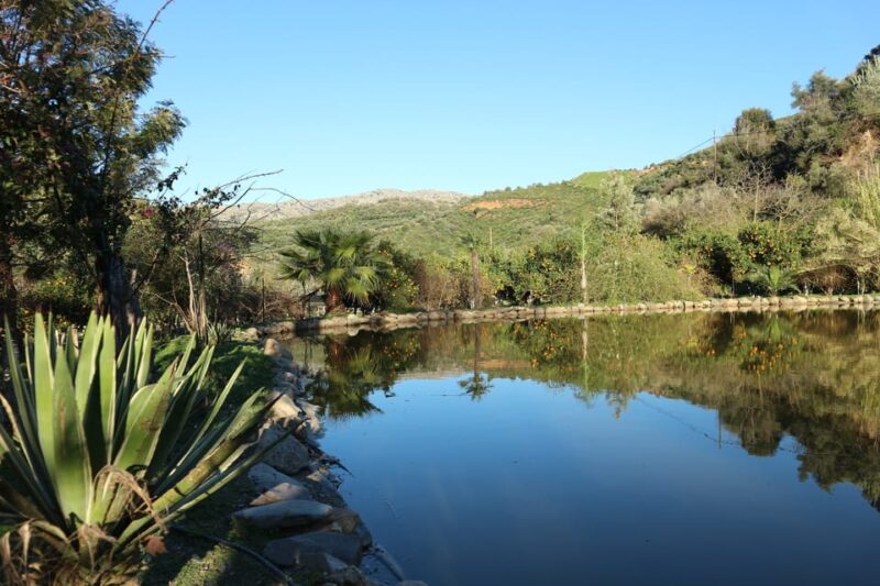Chania: Nature Road Trip With Botanical Garden and Lunch! - Good To Know
