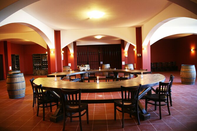 Chateau Burgozone Wine Tasting and Enchanting Danube River View - Key Points