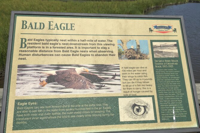 Chesapeake Beach Guided Walking Tour Review - Good To Know