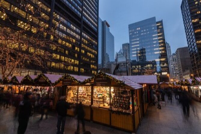 Chicago's Festive Lights: A Magical Christmas Journey - Overview of the Tour