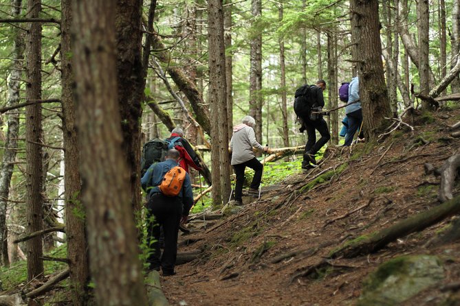 Chilkat Inlet Coastal Hike in Haines - Key Points