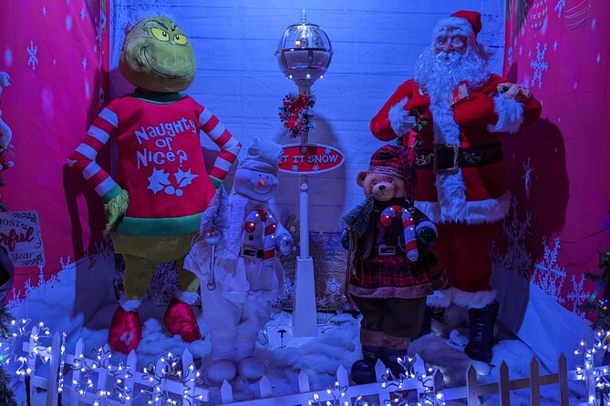 Christmas Lights Tour Review: A Festive Experience - Tour Overview