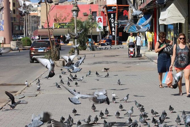City Tour of Hurghada - Key Points
