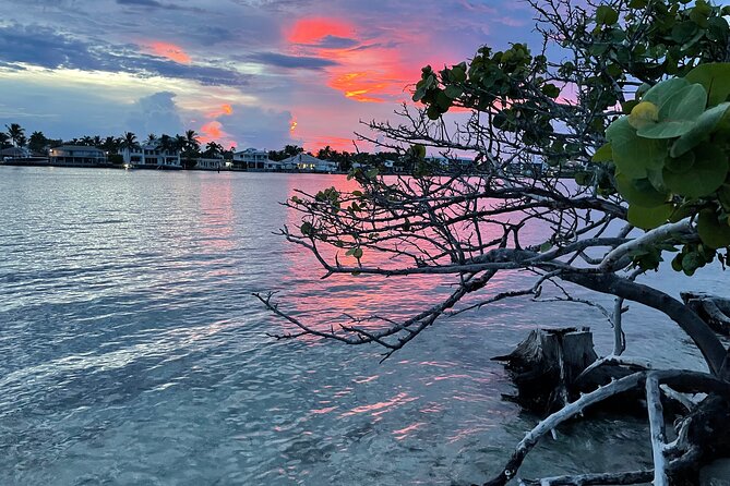 Clear Kayak Eco Tour in Jupiter, Florida - Included Amenities