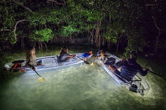 Clear Kayak LED Night Glass Bottom Tour - Sarasota - Good To Know