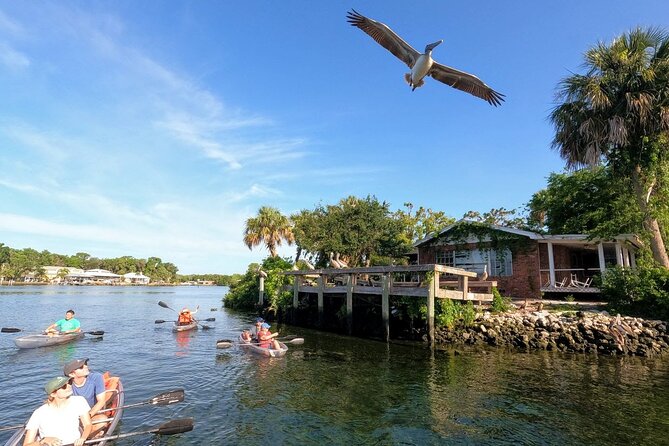 Clear Kayak Manatee Viewing Tour Review - Good To Know
