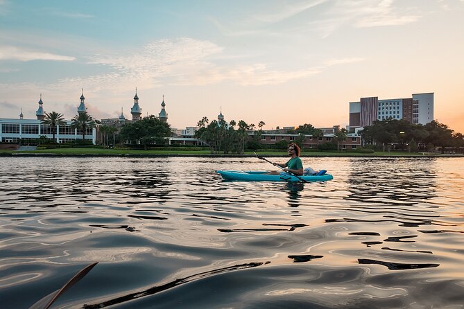 Clear Kayaking Glow Tour Review - Highlights of the Tour