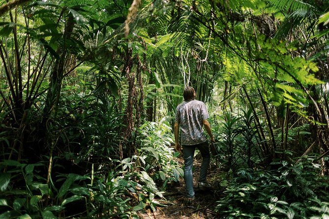 Cloud Forest Sanctuary Jungle Tour - Good To Know
