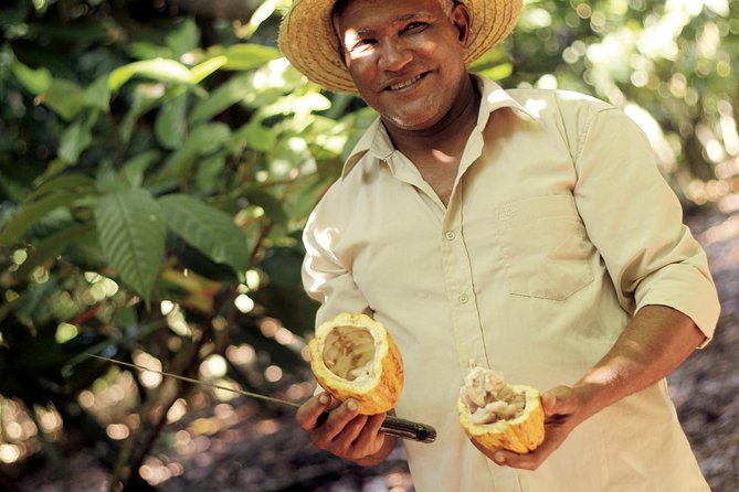 Cocoa Trail and Making of Chocolate Tour From Santo Domingo - Pricing and Booking