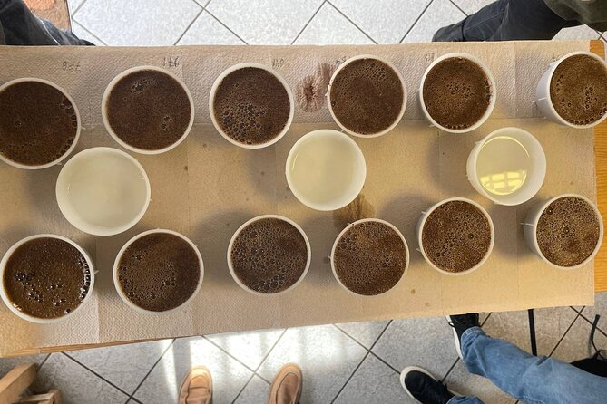 Coffee Sensory Training in Ljubljana - Location Details