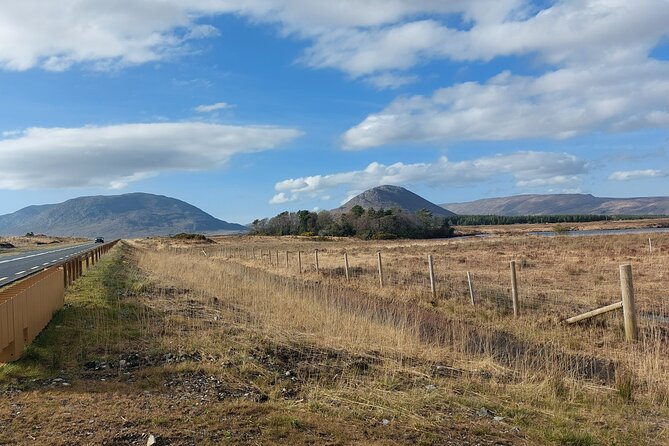 Connemara, Kylemore Abbey, Ross Errily and Sky Road Private Tour From Galway - Tour Overview and Highlights