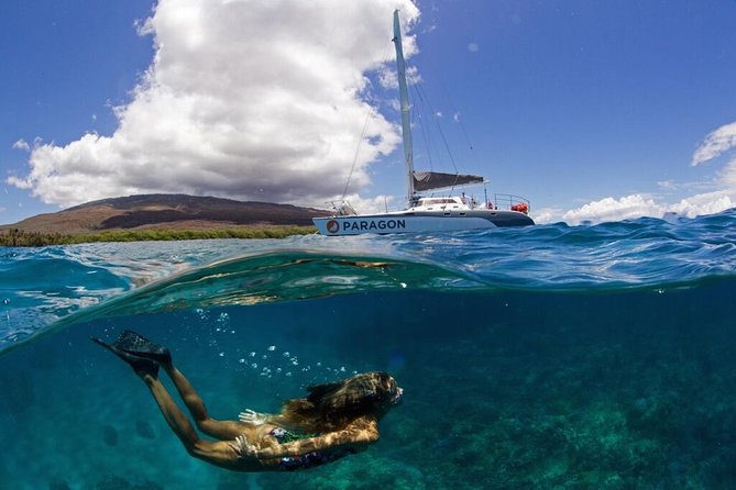 Coral Gardens Snorkel & Whale Watch - Good To Know