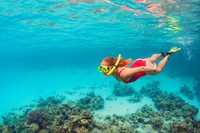 Coral Snorkeling Private Tour in Punta Cana With Seafood Lunch - Key Points
