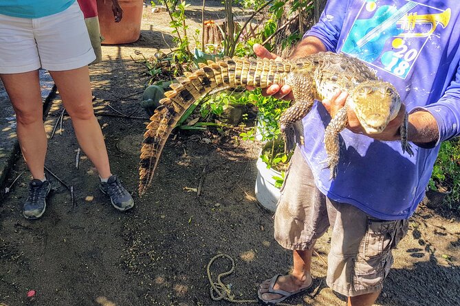 Countryside Boat Ride Beach-Horseback Ride Turtle Release - Crocs - Key Points