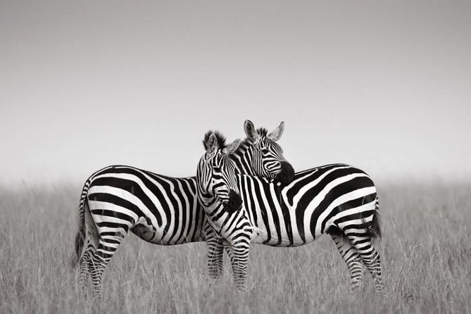 Couples In Private Tanzania Safari | 6 Days