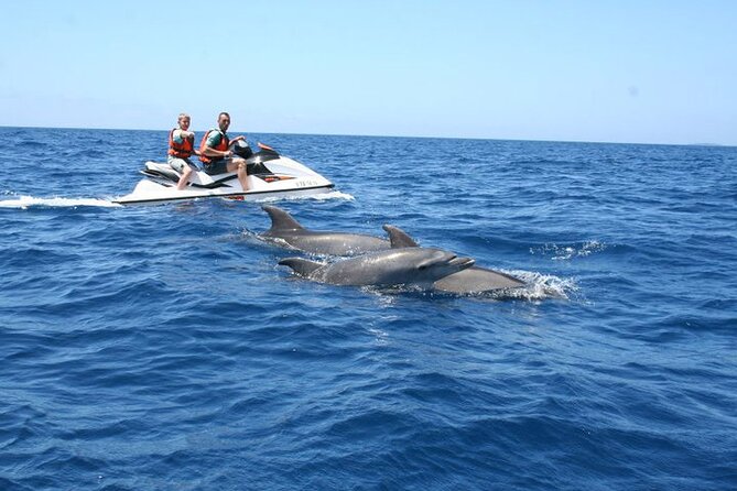 Crab Island Dolphin Jetski Adventure - Good To Know