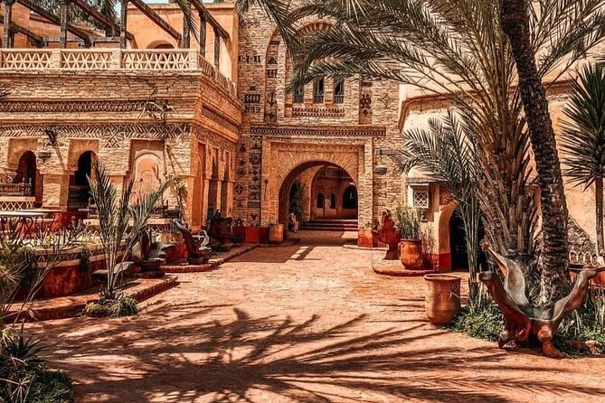 Crocodile Park+ Coco Polizzi Including Transportation and Entrance - Key Points