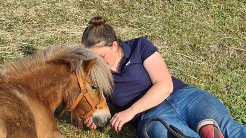 Cruseilles: Horseback Riding in the Countryside - Key Points