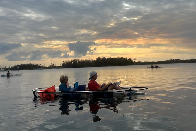Crystal River Sunset and Glow Kayak Tour Review - Good To Know