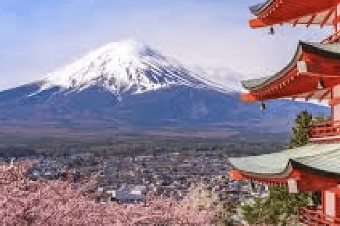 Customizable Private Mt. Fuji Tour With Van
