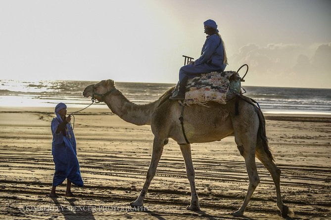 Day Camel Ride With Picnic on Essaouiras Beach - Key Points