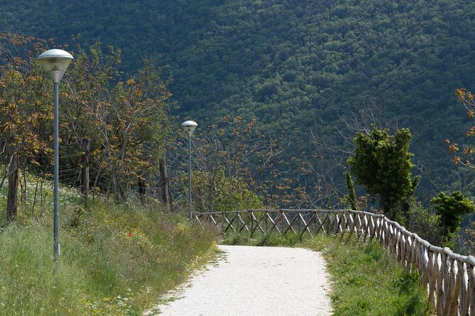 Day in Guided Tour to the Forgotten Village of Elcito With Snack - Key Points