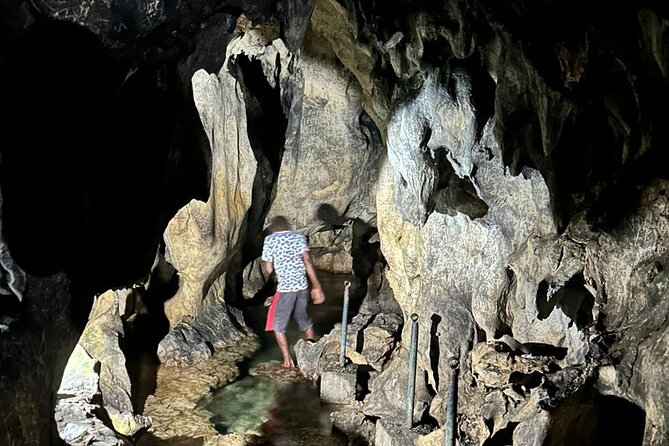 Day Tour at Roaring River and Cave, Blue Hole, Mineral Springs - Key Points