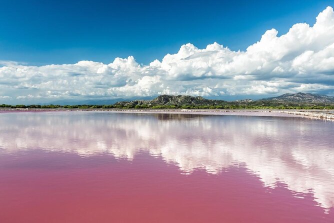 Day Tour Bandia Wildlife Reserve and Pink Lake - Key Points