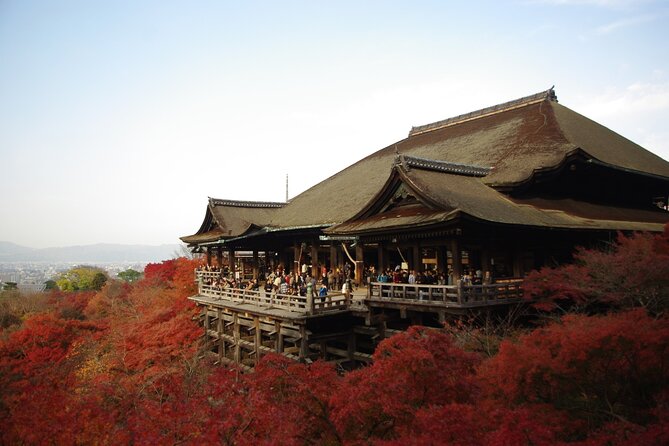 Day Tour From Osaka to Kyoto Lets Enjoy Kyotos Food and Scenery - Key Points