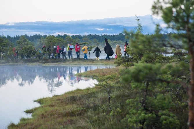 Day Tour to Magical Bog Shoe Walking Tour - Key Points