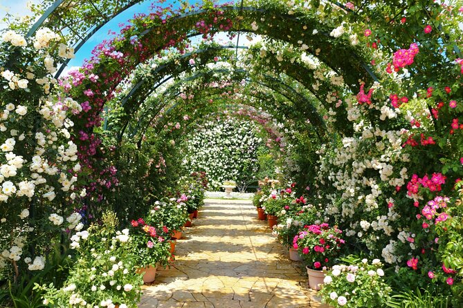 Day Trip Ashikaga Flower Park by Private Car From Tokyo - Key Points