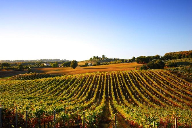 Day Trip From La Spezia Pier: San Gimignano and Wine Tasting - Private Tour - Key Points