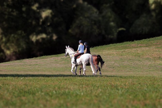 Day Trip: Olive Oil And Wine Museum With Lunch + Horse Riding - Key Points