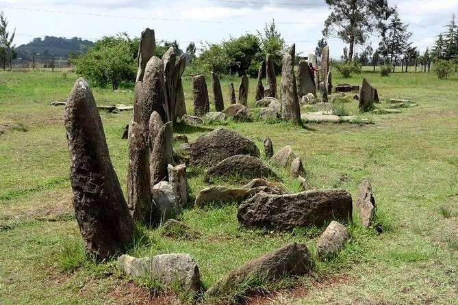 Day Trip to Adadi Mariyam, Tiya and Melka Kunture - Key Points