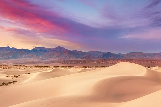 Death Valley Mojave Desert Tour Review - Tour Highlights