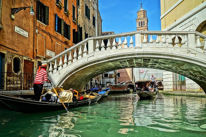 Departure Transfer: Venice to Marco Polo Airport VCE (Luxury Van) - Vehicle and Amenities