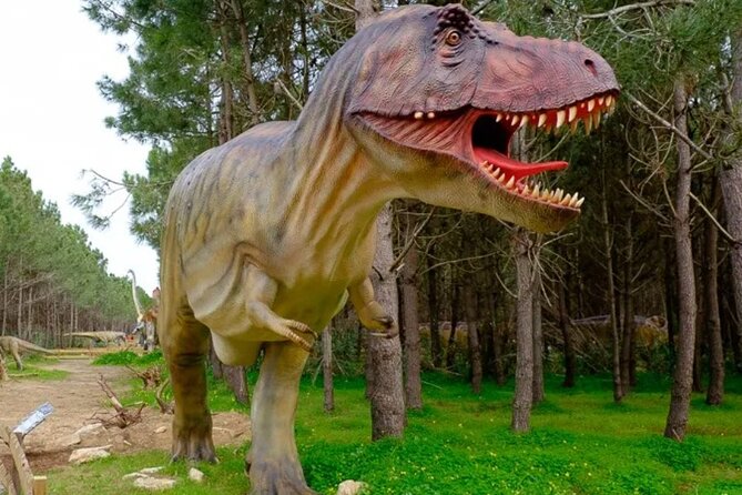Dinosaurs Park - Family Half Day Tour - Key Points