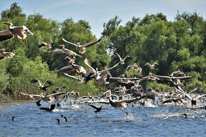 Discover Danube Delta From Bucharest - Private Tour for 5 Days - Key Points