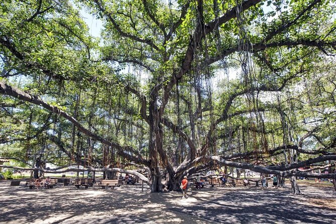 Discover Lahaina: Self-Guided Audio Tour Review - Tour Overview